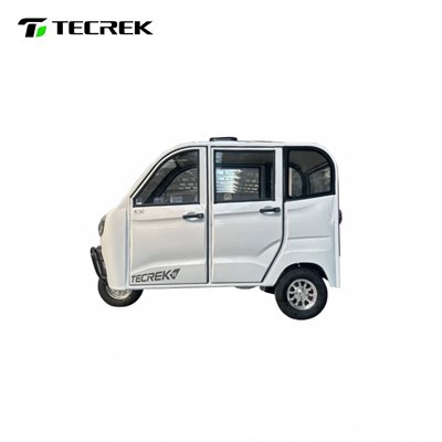 Triciclo elettrico per famiglie