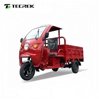 Triciclo elettrico con cabina chiusa